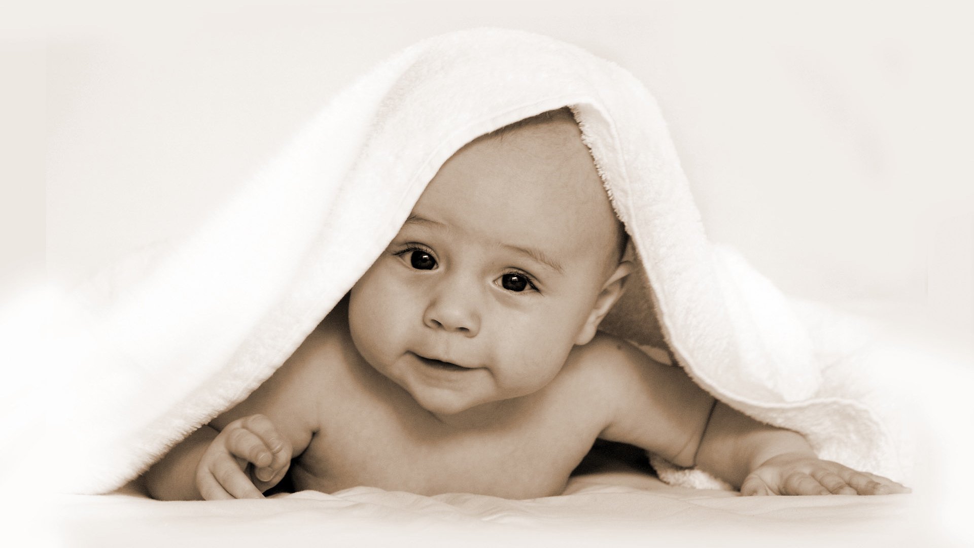 长春供卵公司机构试管婴儿囊胚的成功率